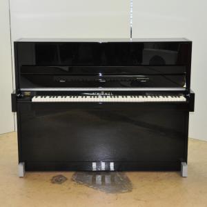 Schimmel C 116 Modern