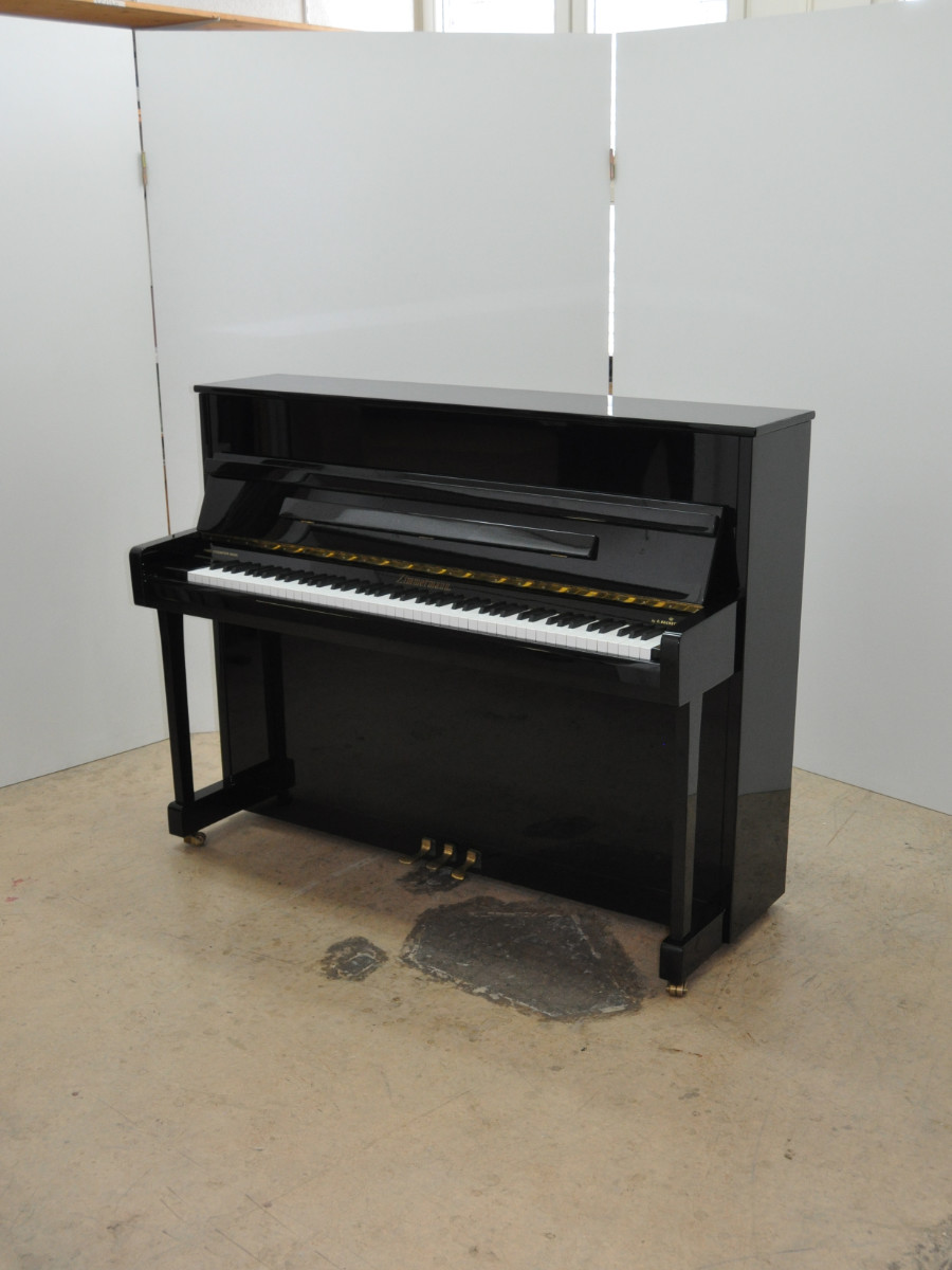 Zimmermann Modell Z3-116 cm – Bild 2