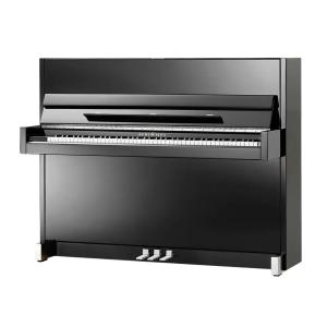 Schimmel C 116 Modern