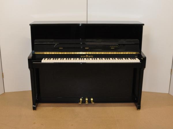 Schimmel C 116 T
